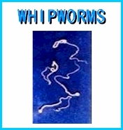 whipworm